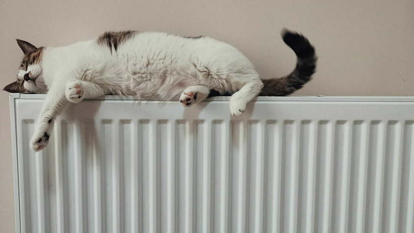 Radiateur électrique